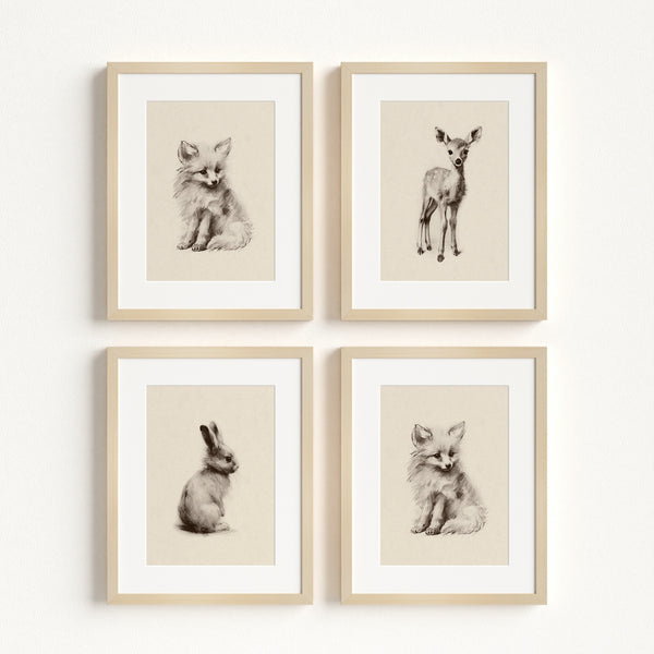 Sketchbook Animals Collection
