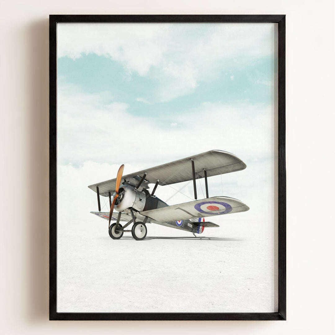 Sopwith Camel Airplane