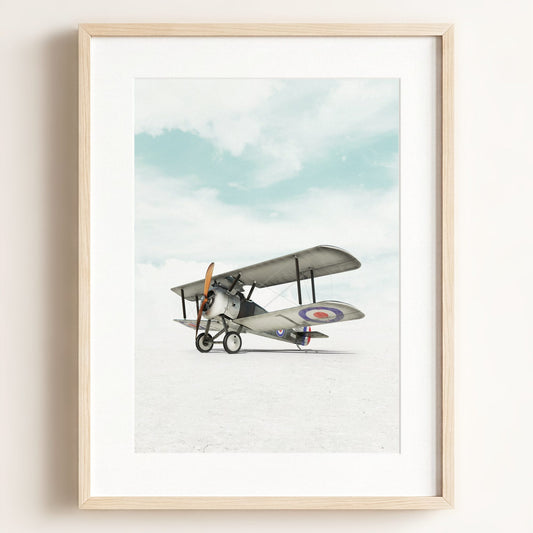 Sopwith Camel Airplane