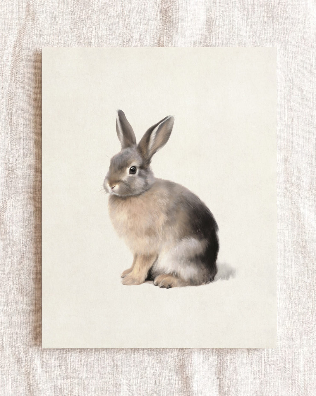 Storybook Cottontail Rabbit