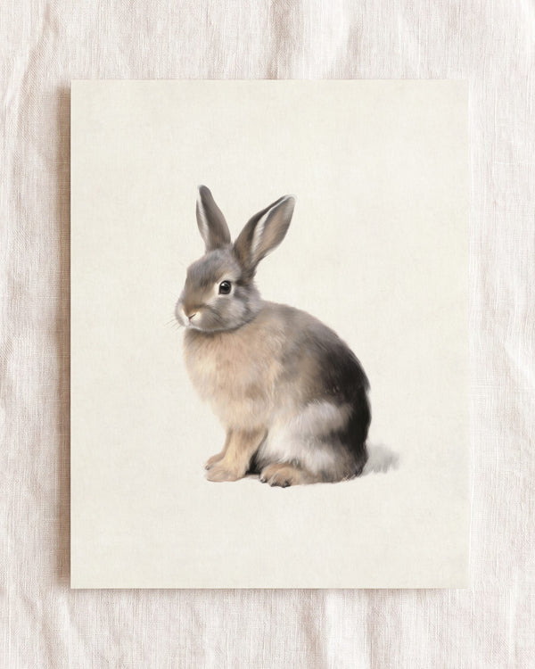 Storybook Cottontail Rabbit