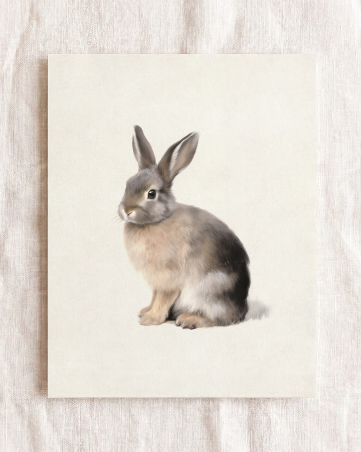 Storybook Cottontail Rabbit