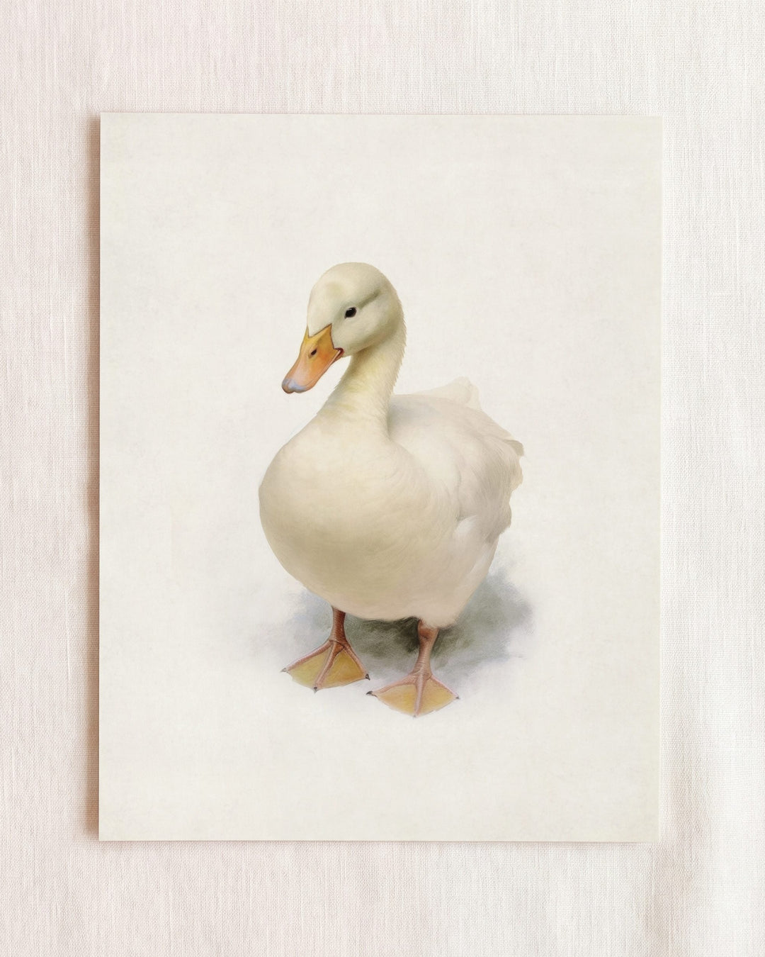 Storybook Duck