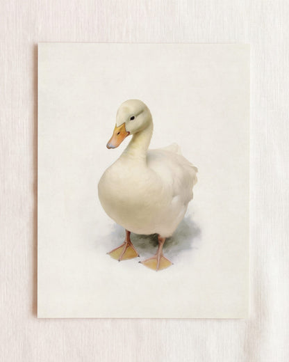 Storybook Duck