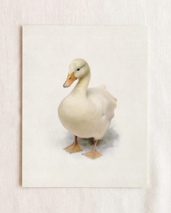 Storybook Duck