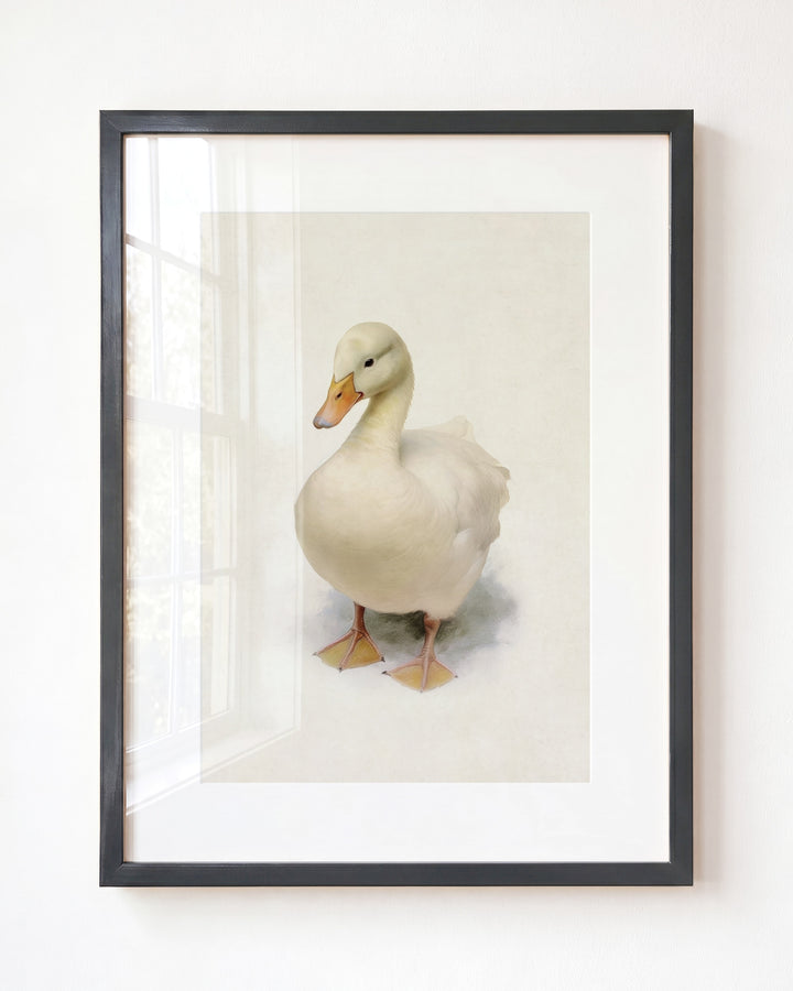 Storybook Duck