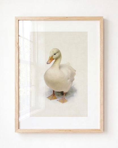 Storybook Duck