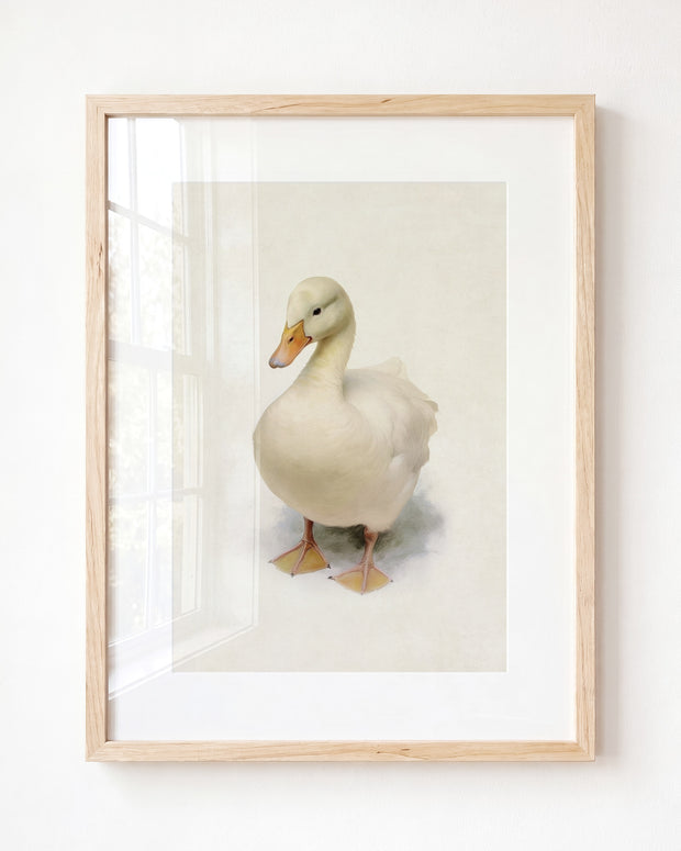 Storybook Duck
