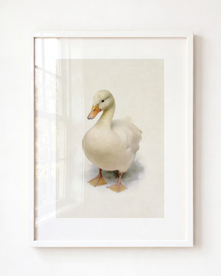 Storybook Duck