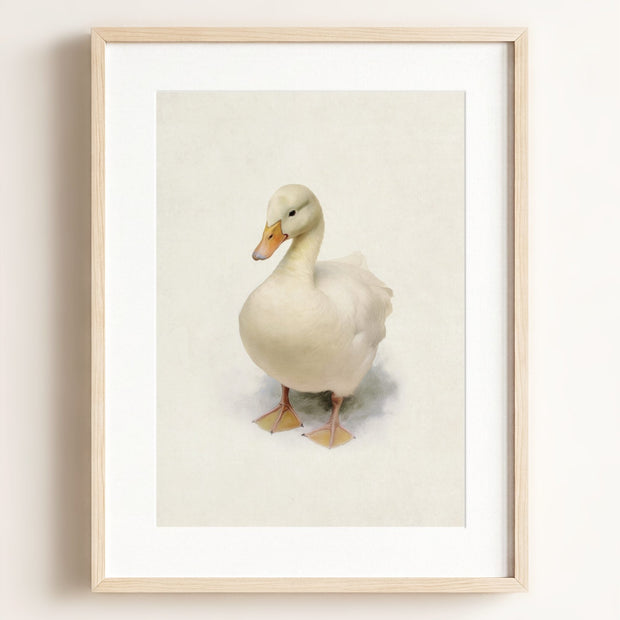 Storybook Duck