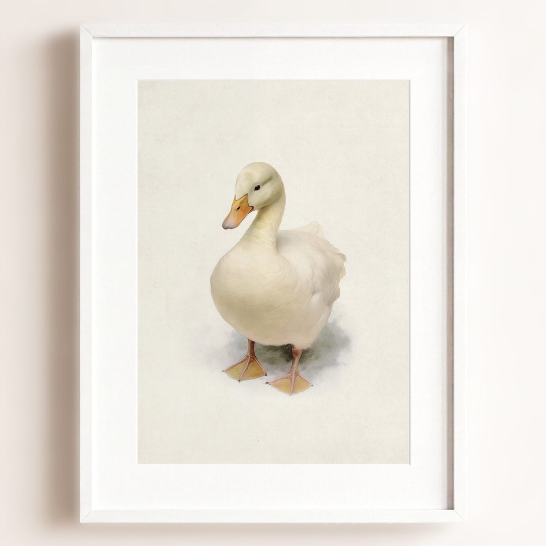 Storybook Duck