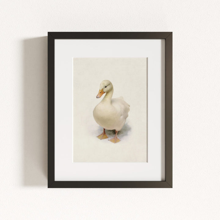 Storybook Duck