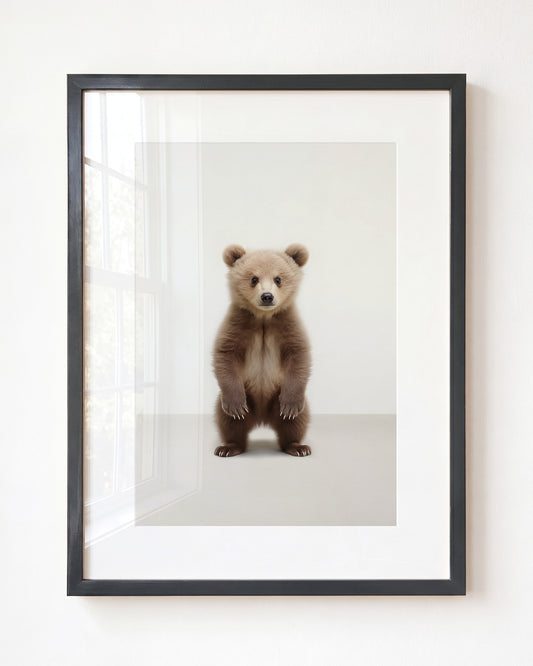 Studio Bear Art Print