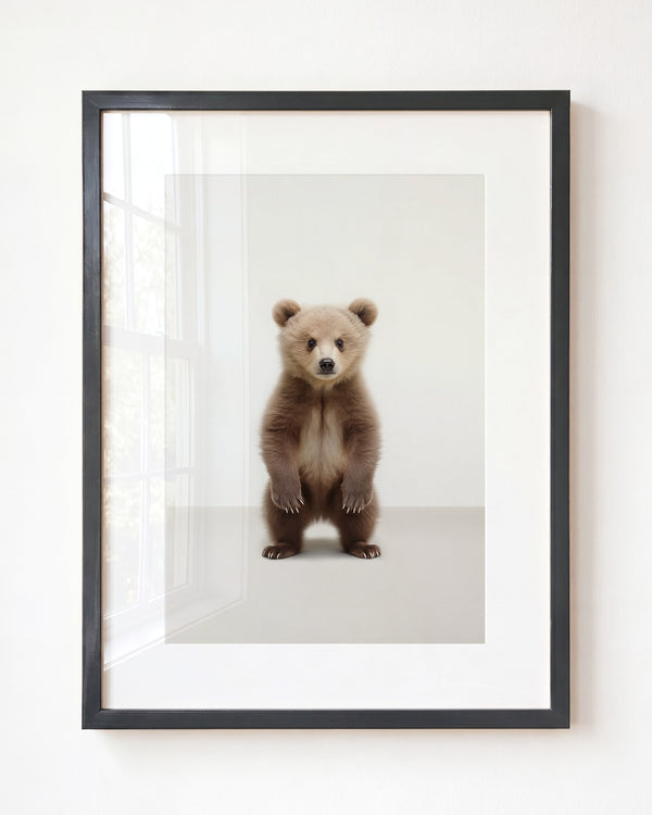 Studio Bear Art Print