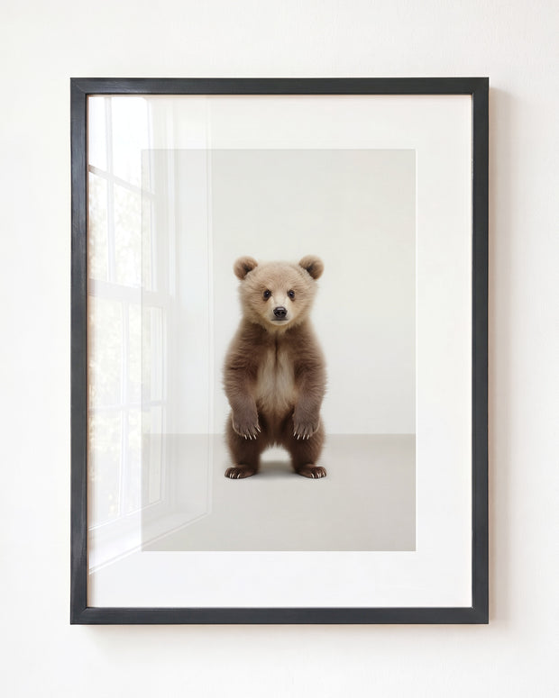 Studio Bear Art Print
