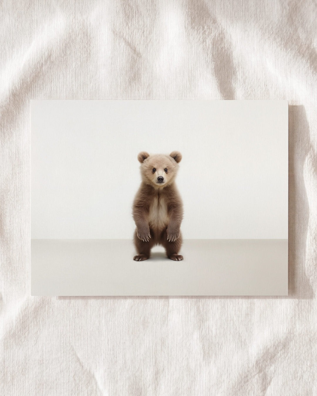 Studio Bear Art Print