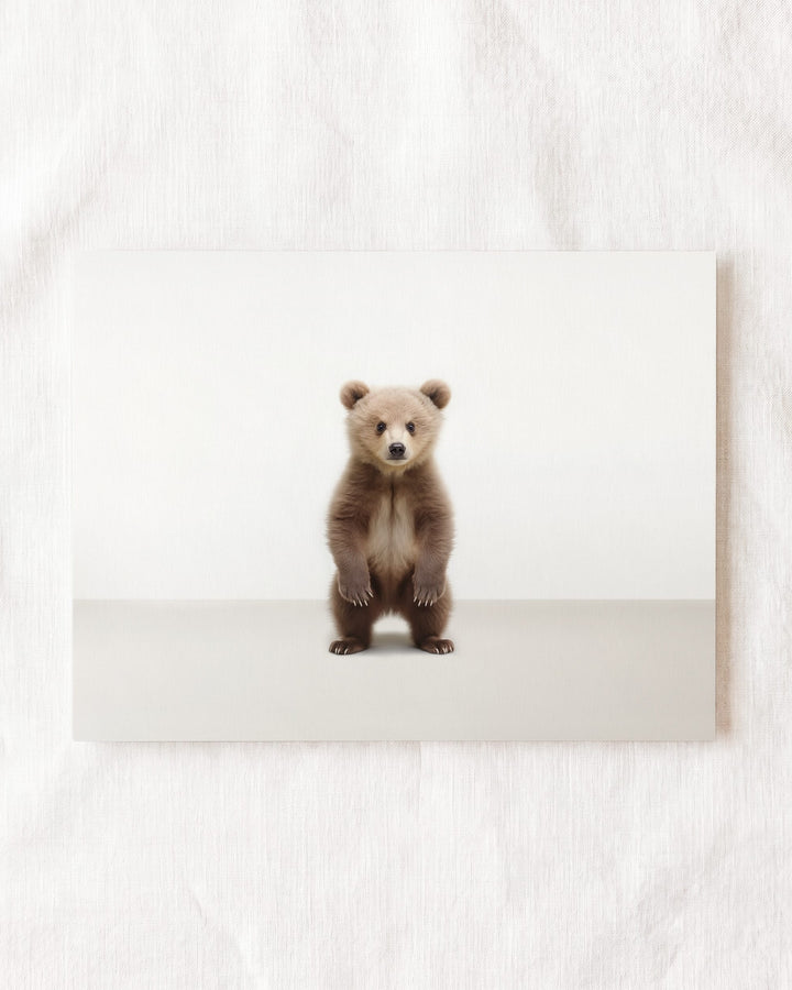 Studio Bear Art Print