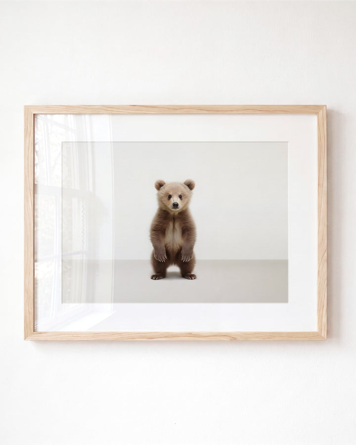 Studio Bear Art Print