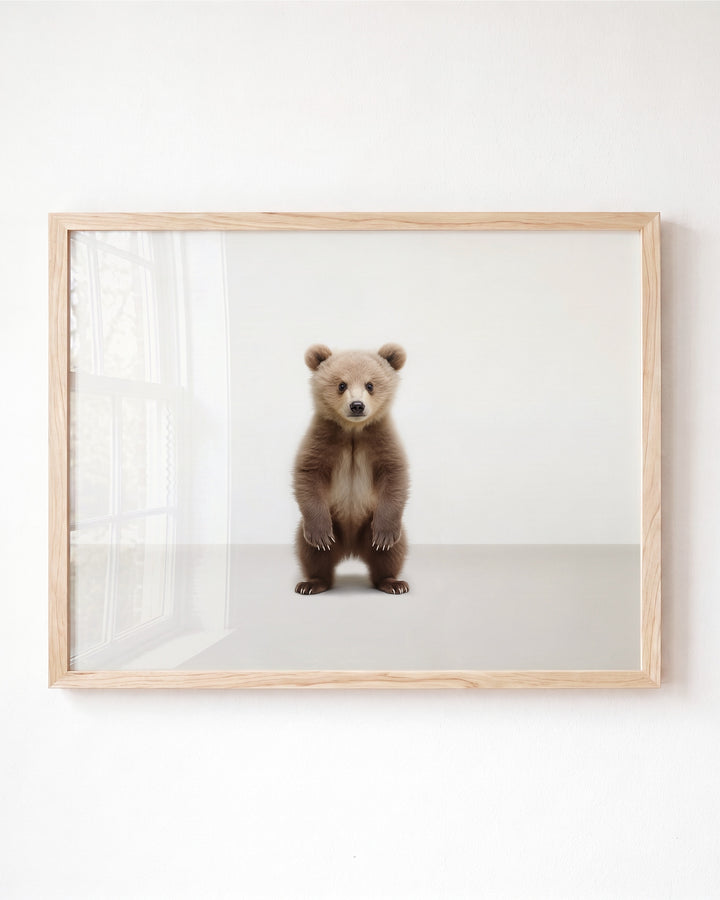 Studio Bear Art Print