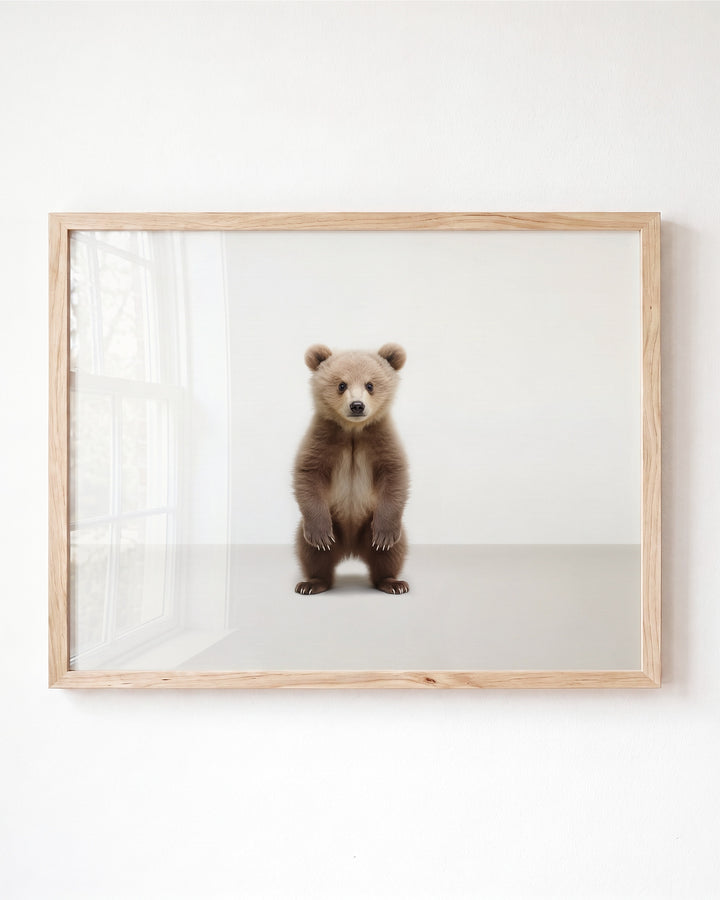 Studio Bear Art Print