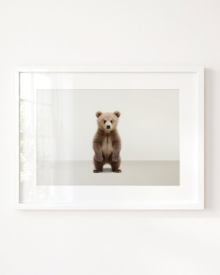 Studio Bear Art Print