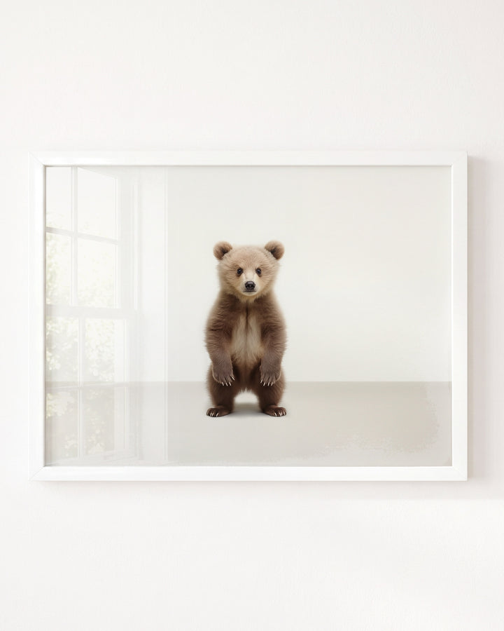 Studio Bear Art Print