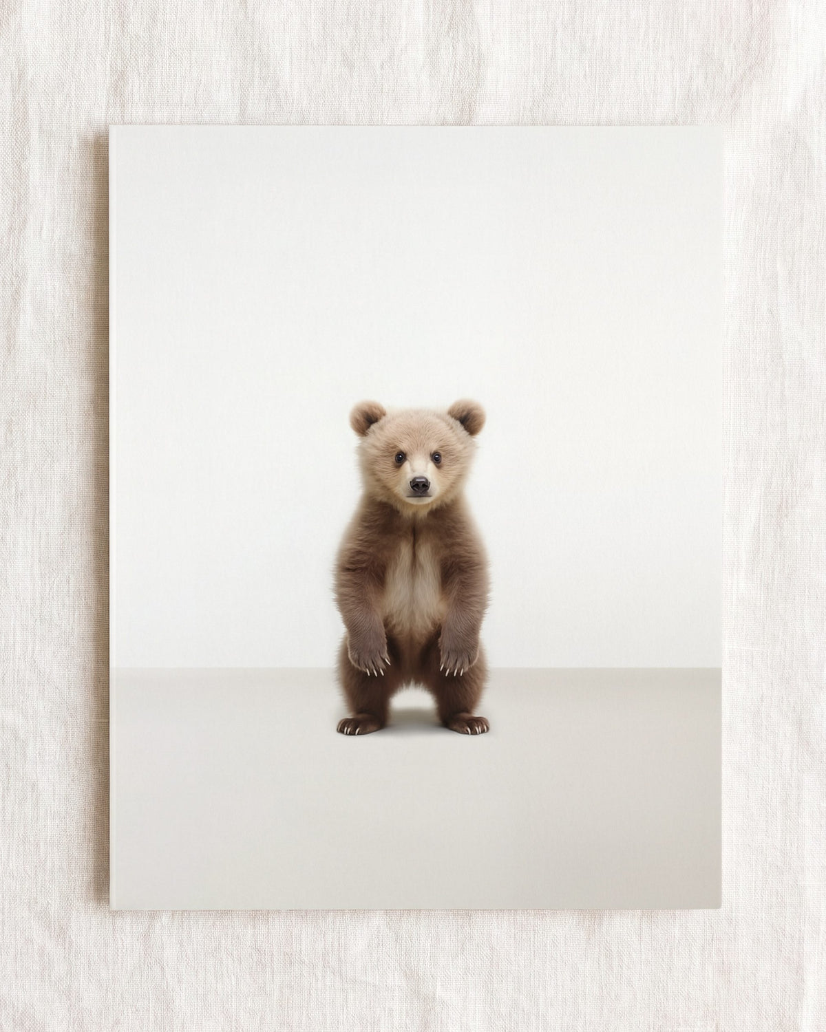 Studio Bear Art Print