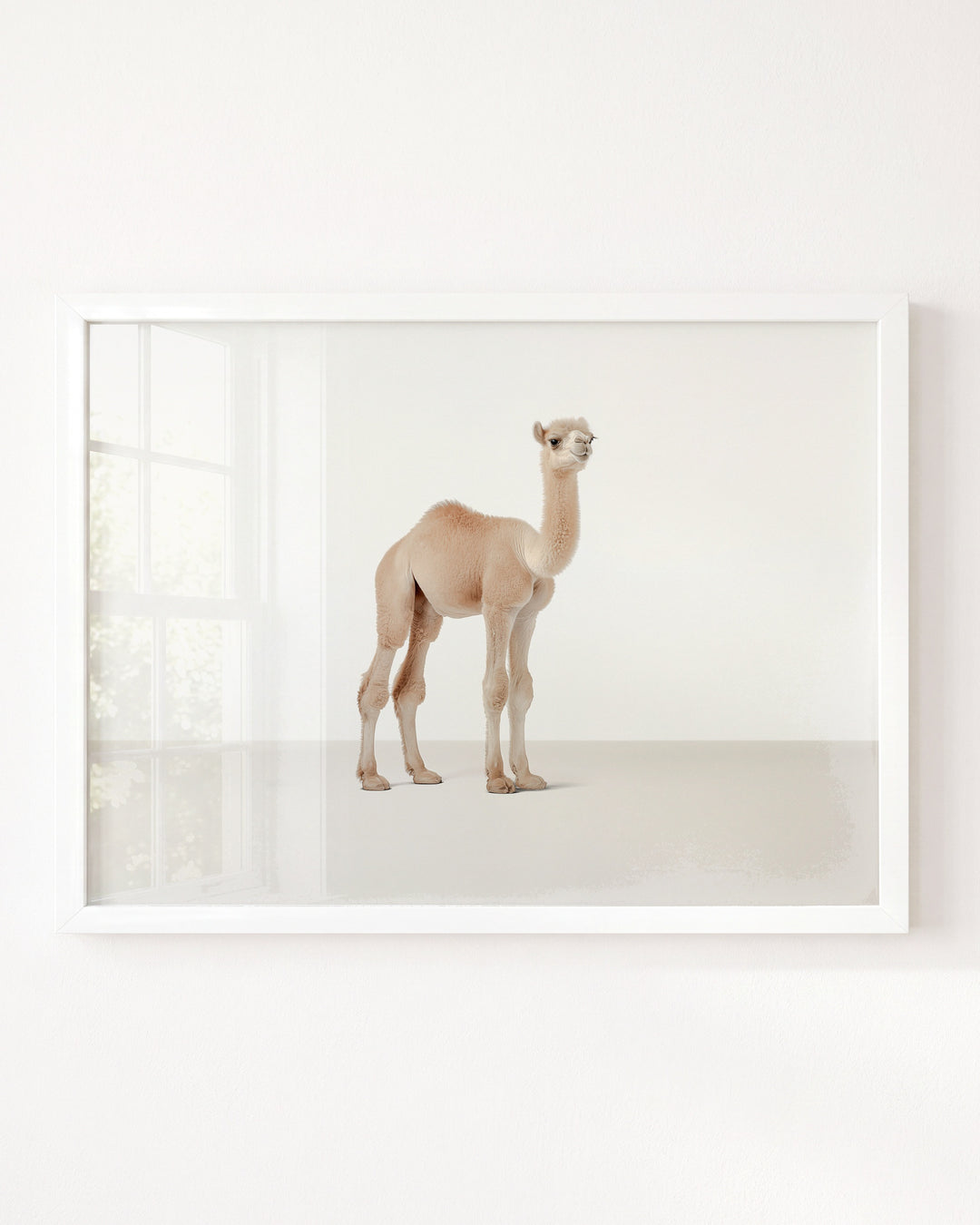 Studio Camel Art Print