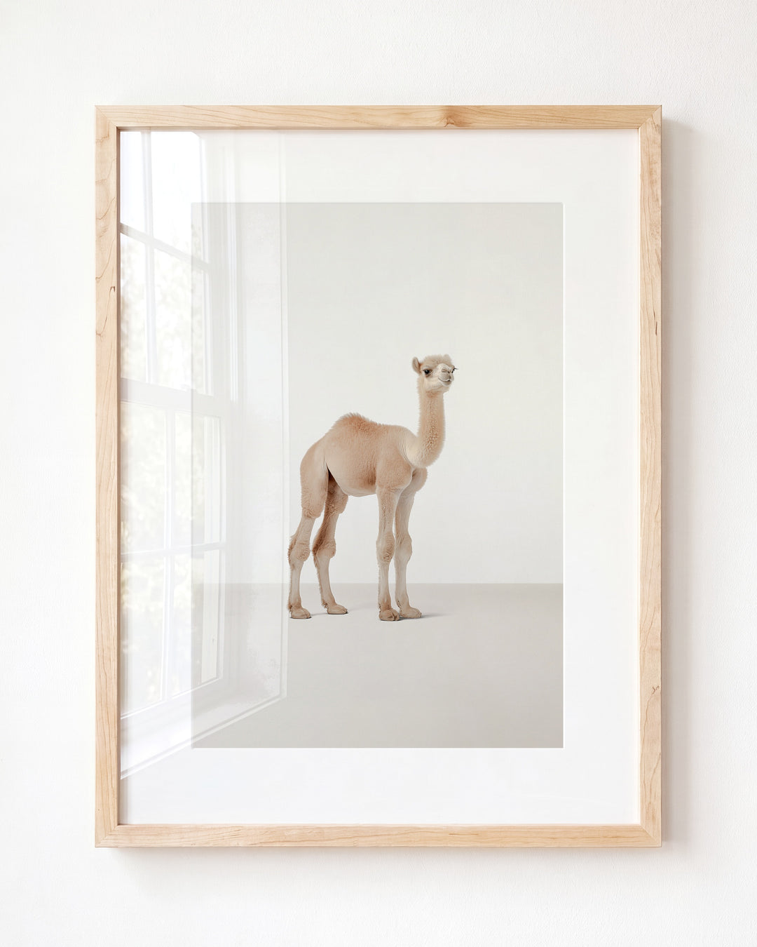 Studio Camel Art Print