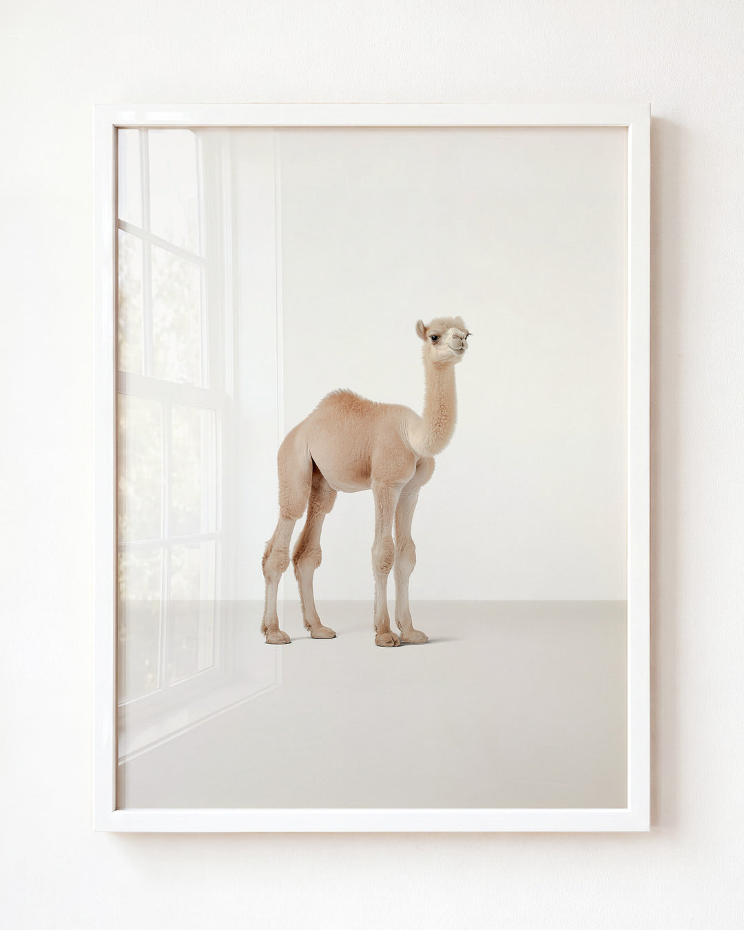 Studio Camel Art Print
