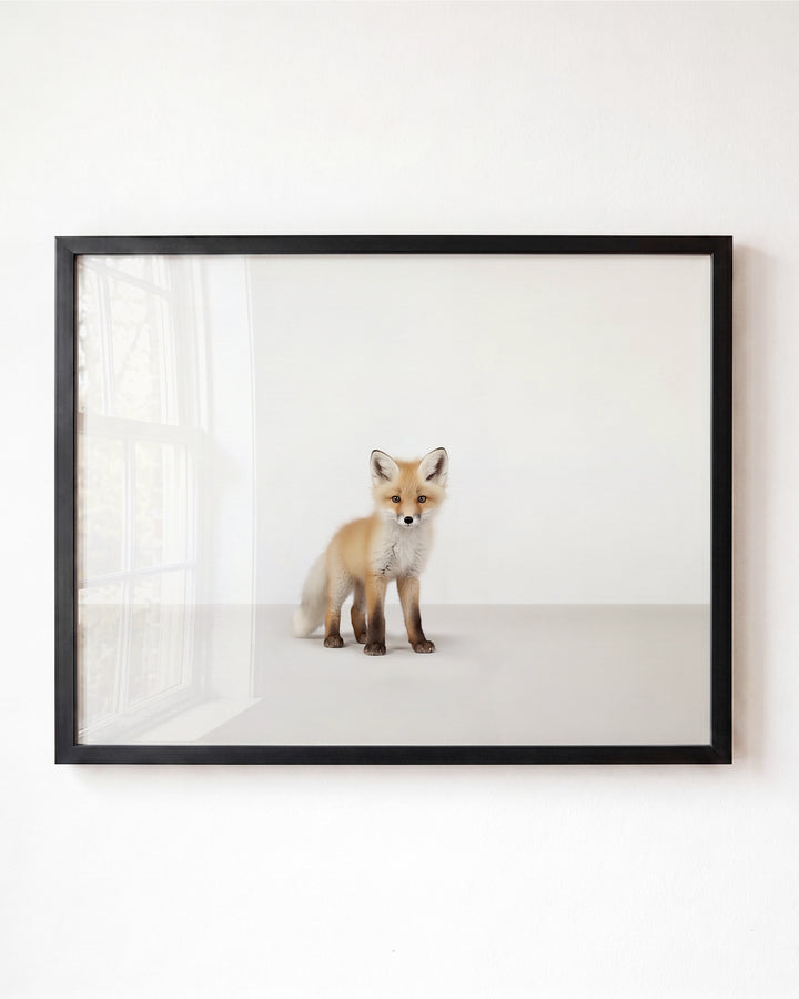 Studio Fox Art Print