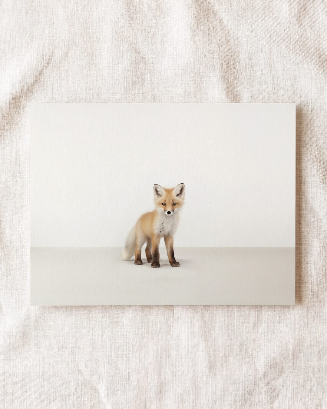Studio Fox Art Print