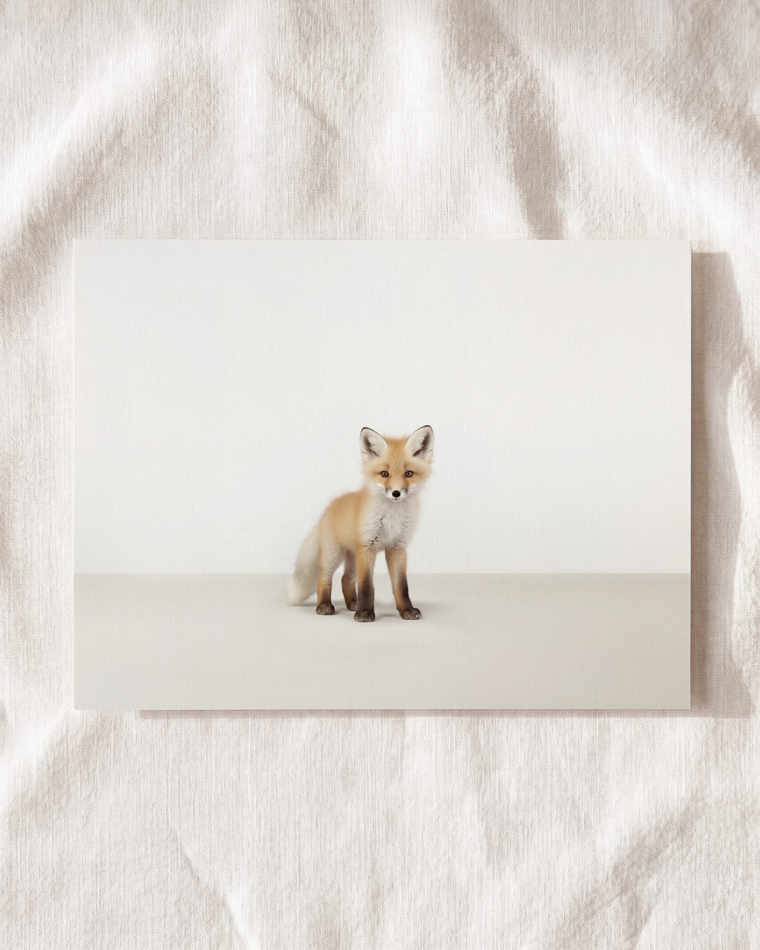 Studio Fox Art Print