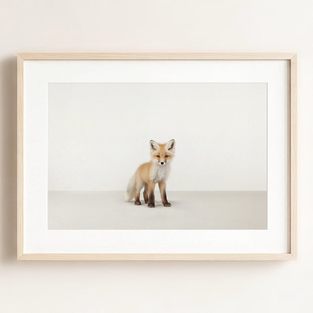 Studio Fox Art Print