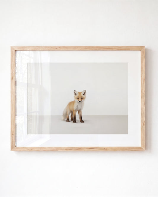 Studio Fox Art Print