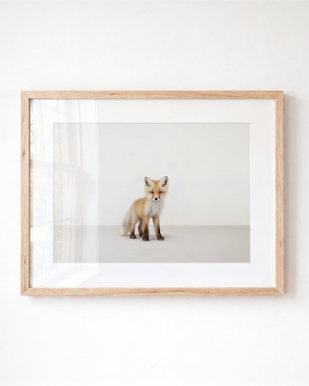 Studio Fox Art Print