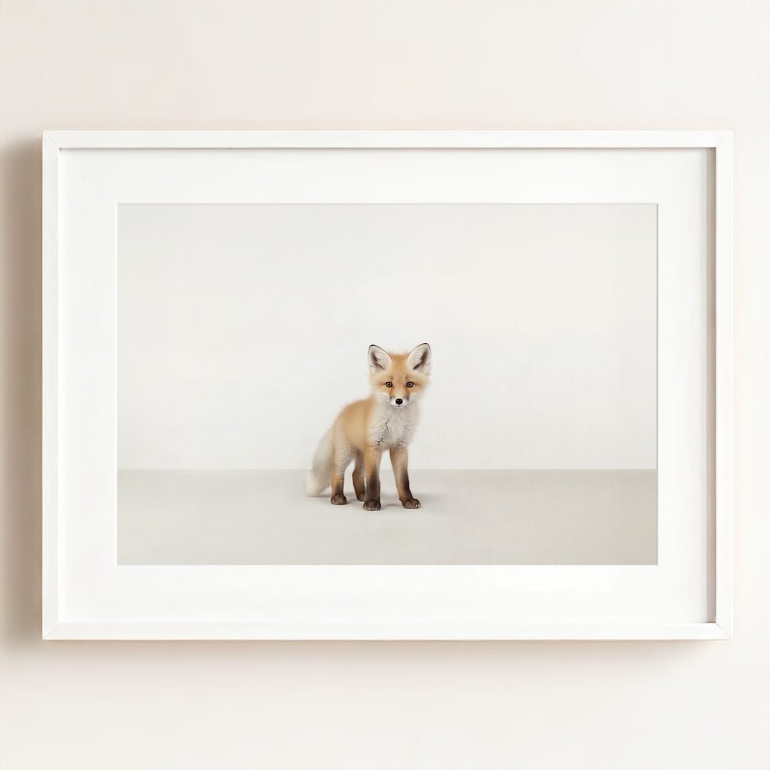 Studio Fox Art Print