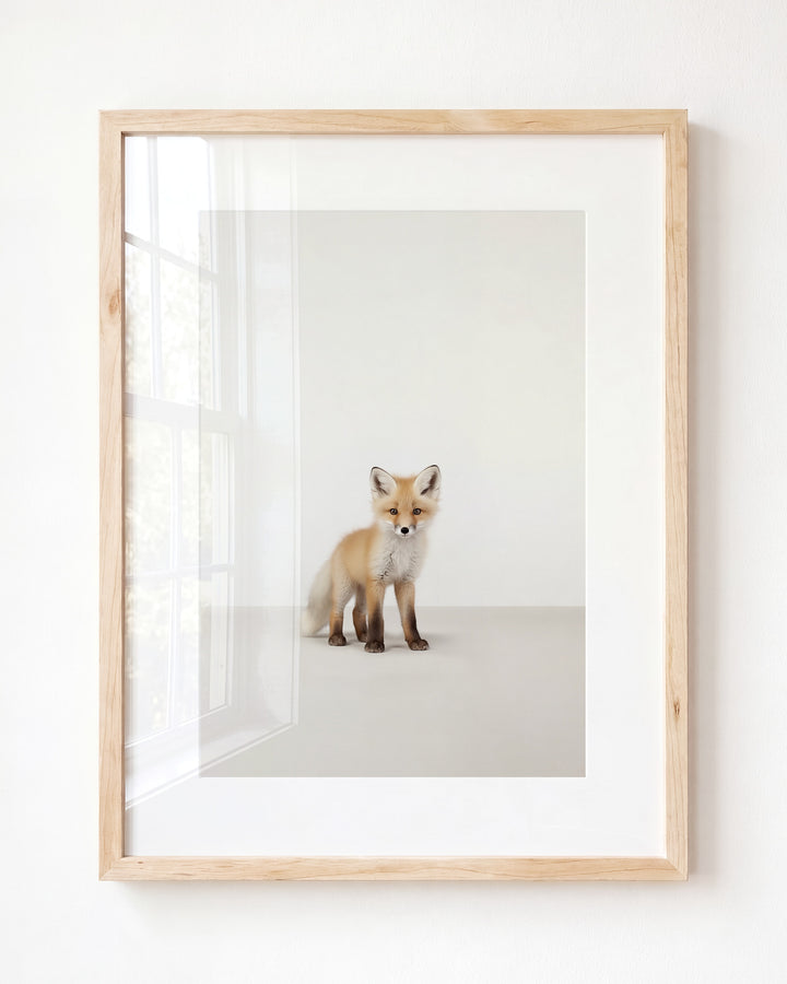 Studio Fox Art Print