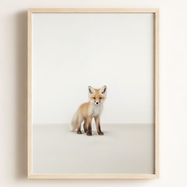 Studio Fox Art Print