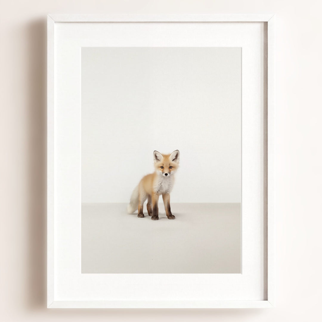 Studio Fox Art Print