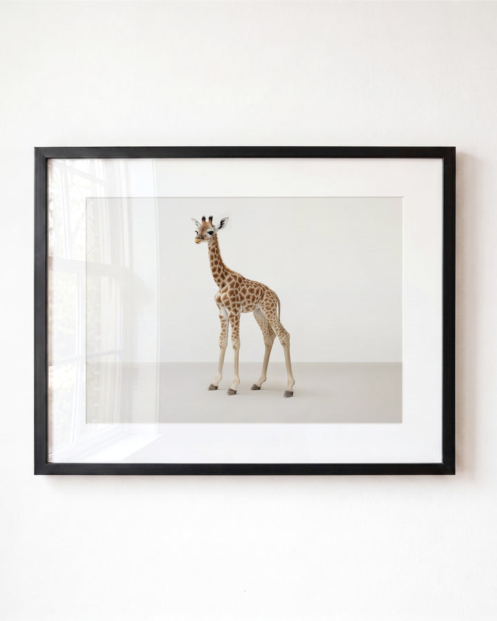 Studio Giraffe Art Print
