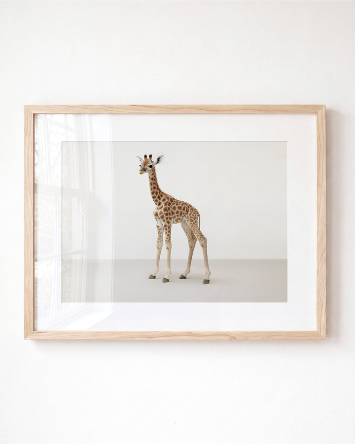 Studio Giraffe Art Print