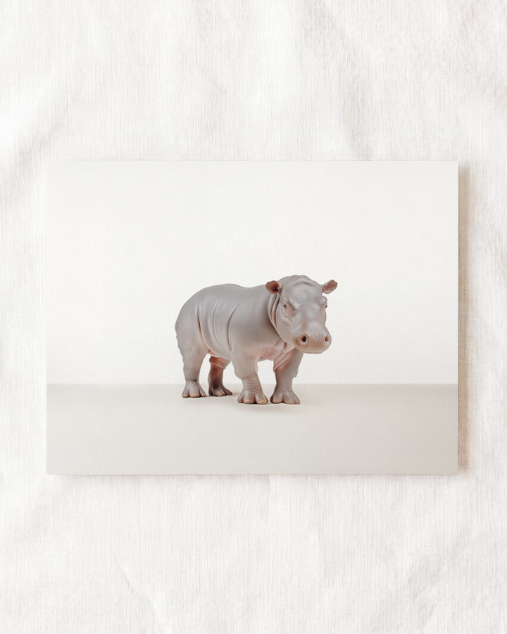 Studio Hippo Art Print