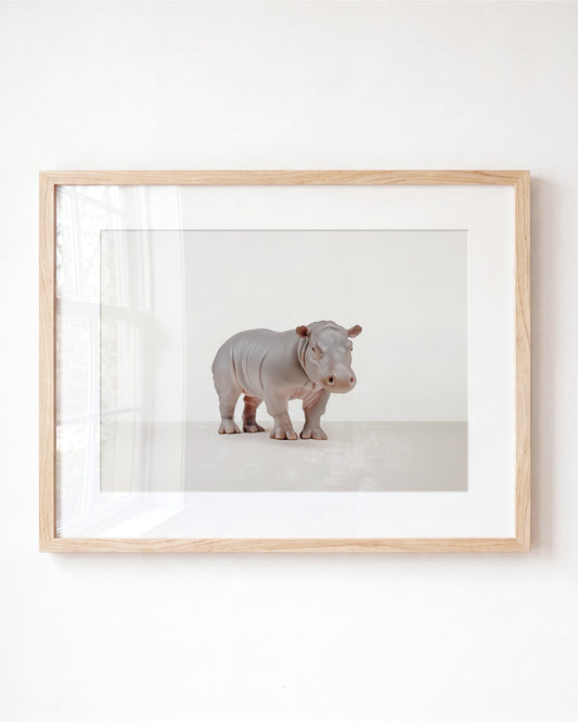 Studio Hippo Art Print
