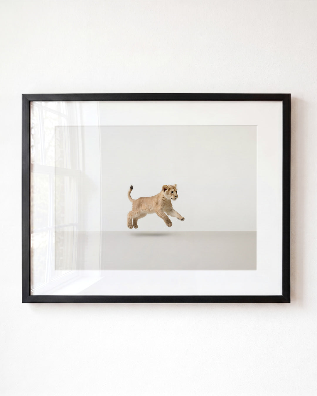 Studio Lion Art Print
