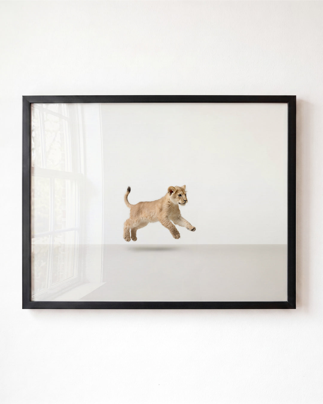 Studio Lion Art Print