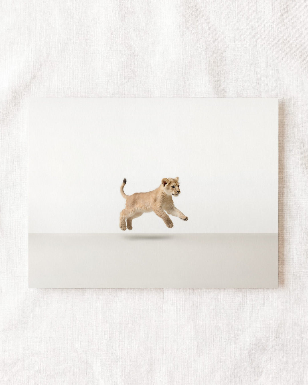Studio Lion Art Print