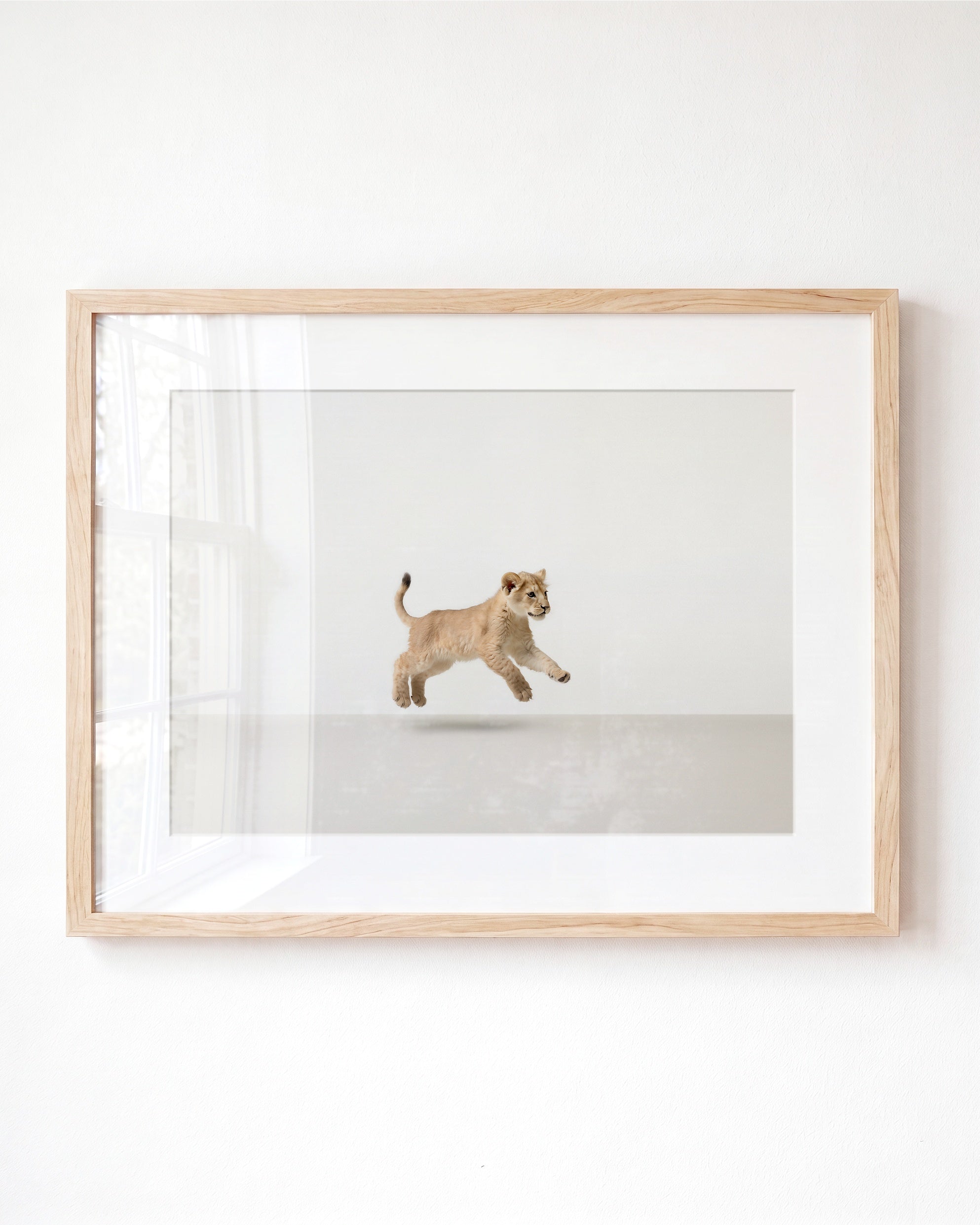 Studio Lion Art Print