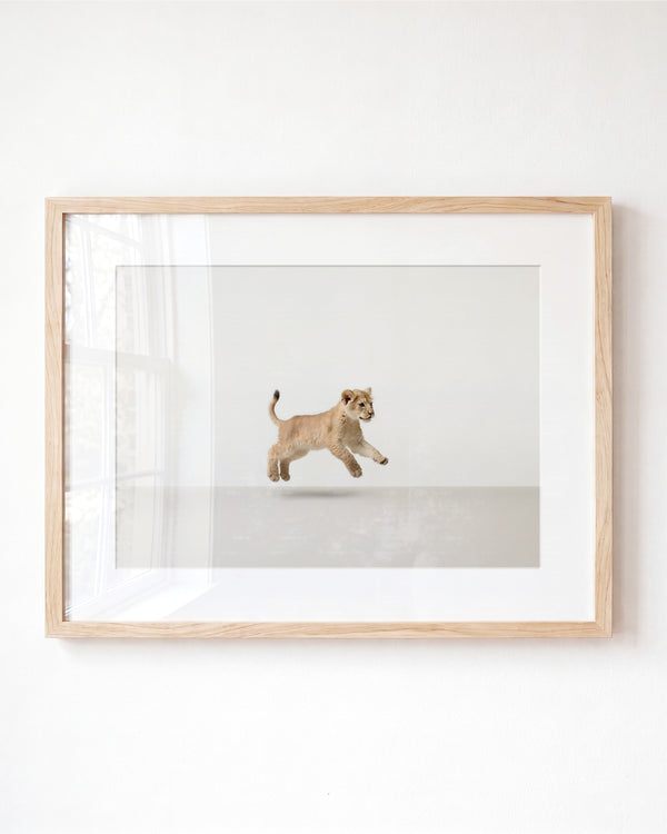 Studio Lion Art Print