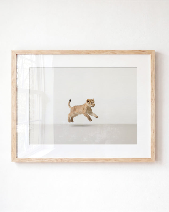 Studio Lion Art Print